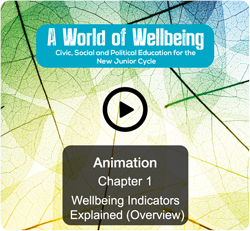 Wellbeing Indicators Explained (Overview)